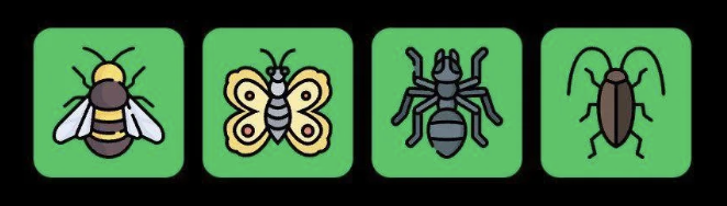 FLIES Daily Combo 4 April 2025